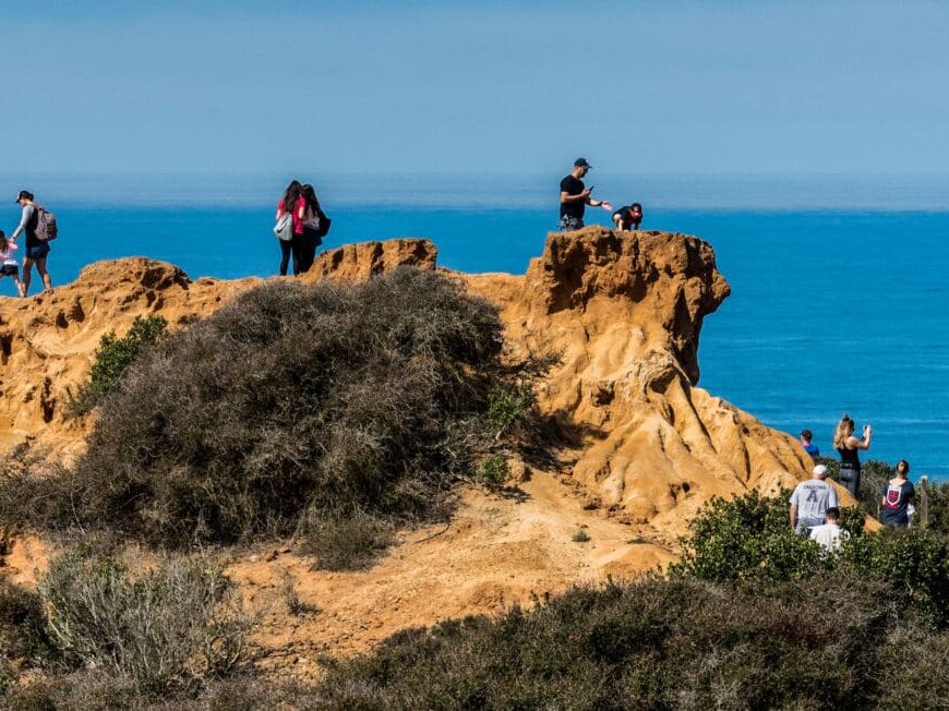 Torrey Pines State Nature Reserve 4/8/2018 Photo By Brian Baer