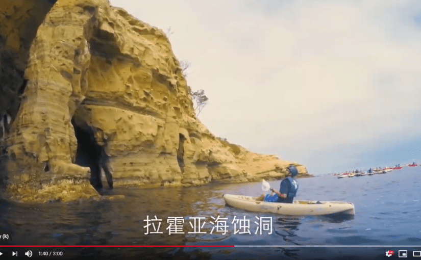 SDTA Releases New Videos Featuring La Jolla