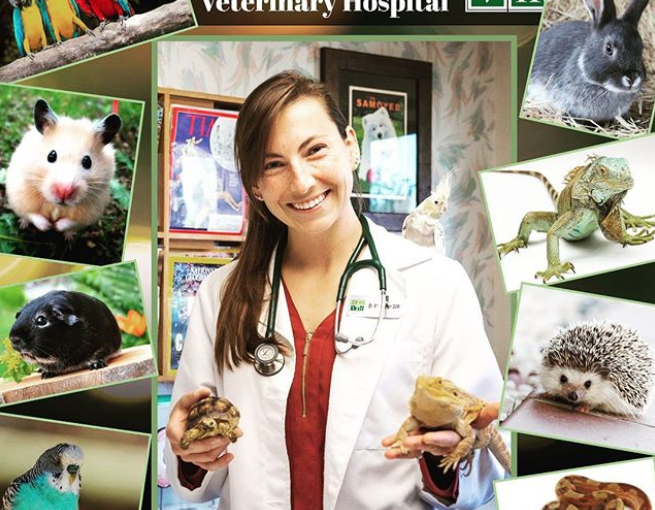 Dog days for La Jolla Veterinary Hospital