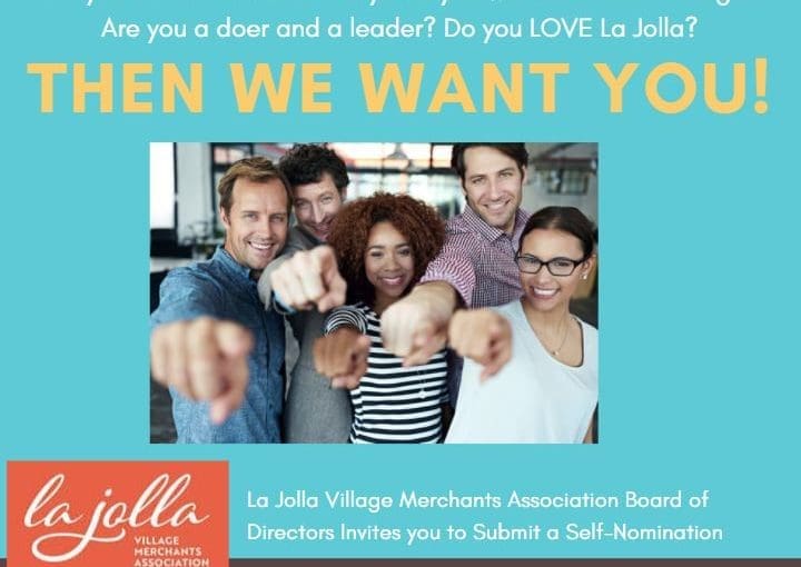 September 3 Deadline to Self Nominate for the LJVMA 2021-2022 Board!