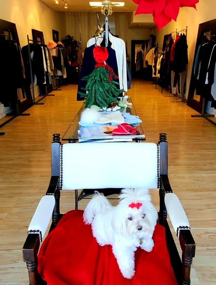 Screenshot 20211217 100740 Gallery (1)