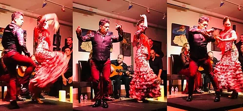Flamenco Sur Dance Co At Ljcc