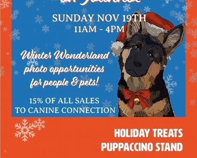 Let it Snow on Ivanhoe