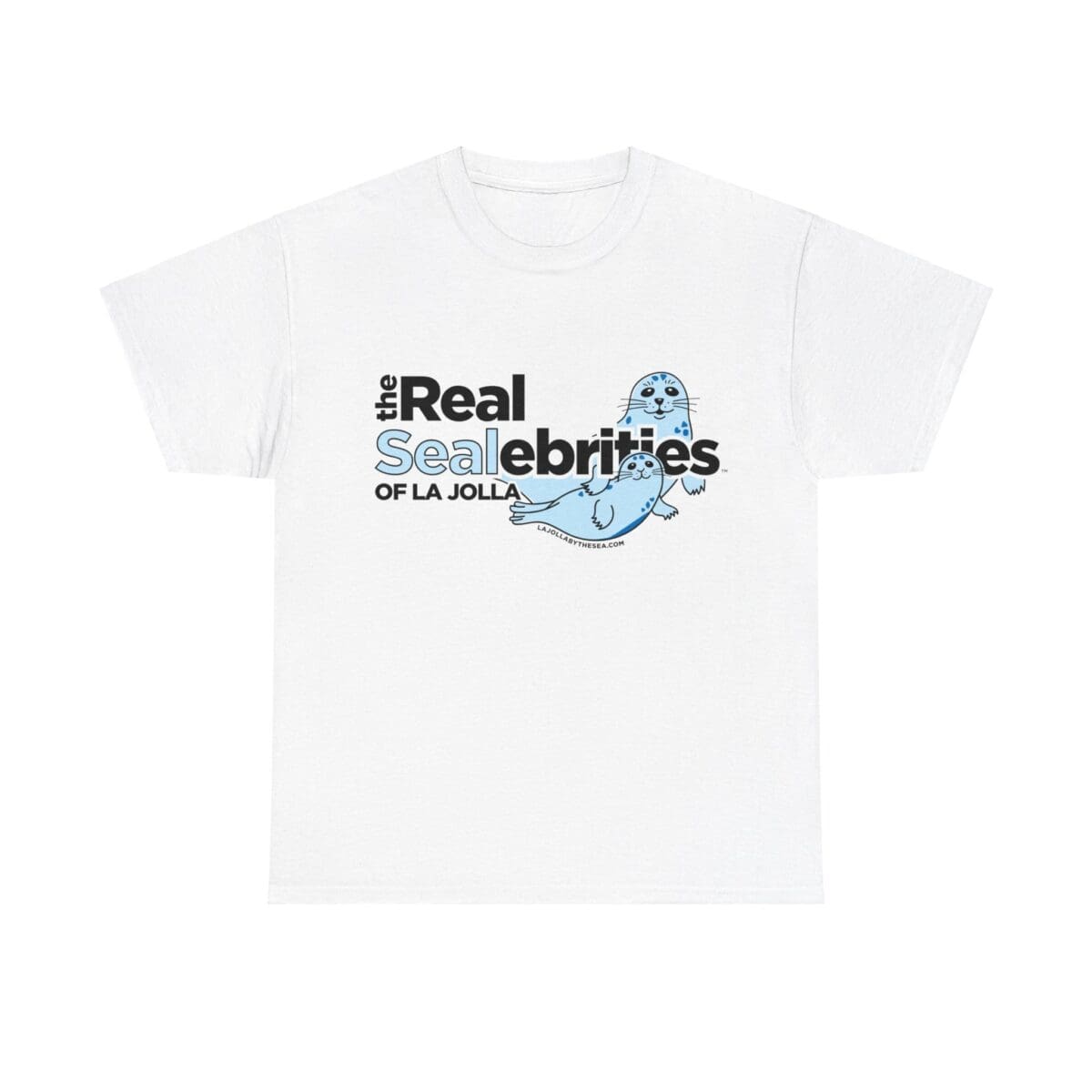 12497156254025317608 2048.jpeg