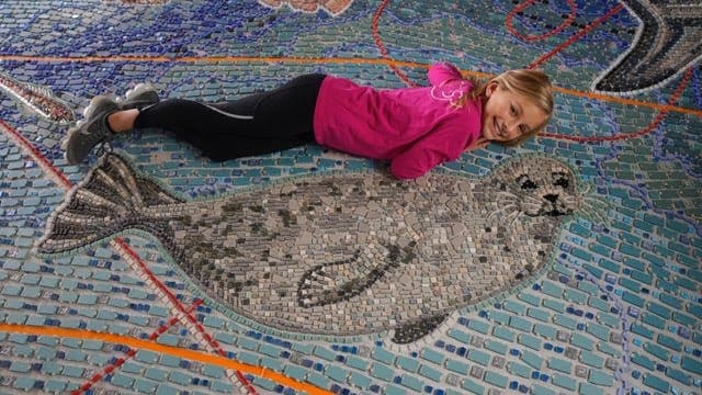 Family Fun in La Jolla: A Coastal Adventure with a Side of Science