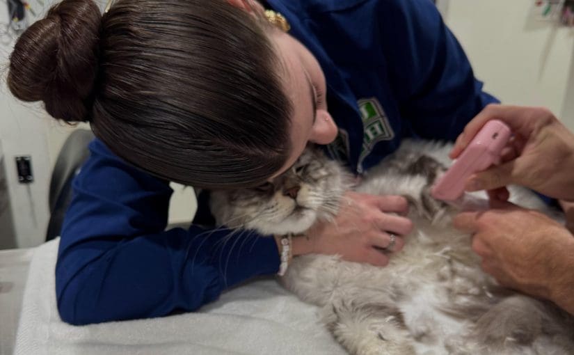 La Jolla Veterinary Hospital