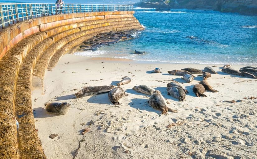 Children’s Pool (Seal Beach)