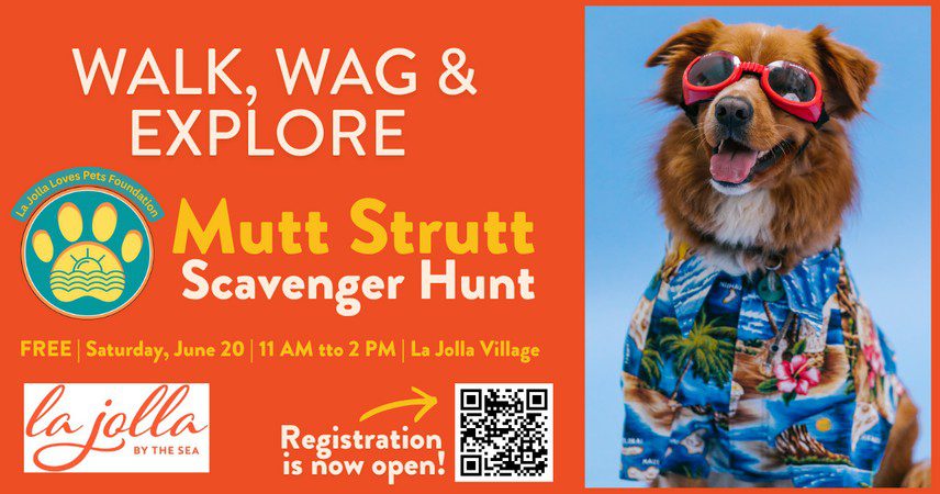 La Jolla Mutt Strut Scavenger Hunt